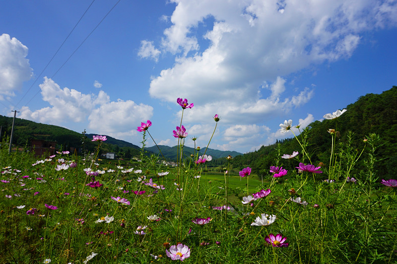 马龙区